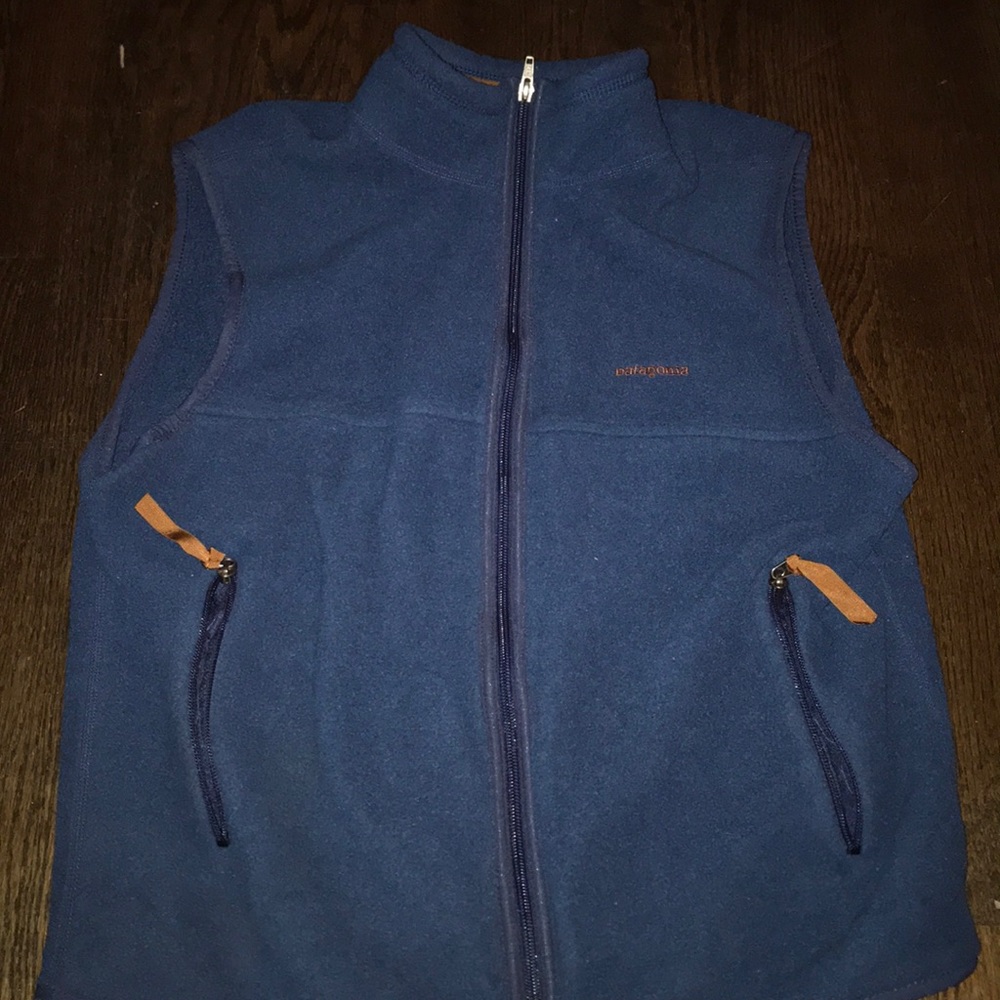 Patagonia Synchilla Fleece Vest